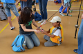 DSC_0453_thumb.png