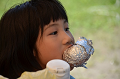 DSC_0982_thumb.png