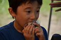 DSC_0983_thumb.png