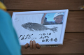 DSC_1070_thumb.png