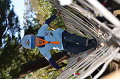 DSC_2355_thumb.png