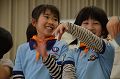 DSC_3487_thumb.png