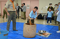 DSC_4170_thumb.png