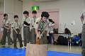 DSC_4258_thumb.png