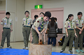 DSC_4302_thumb.png