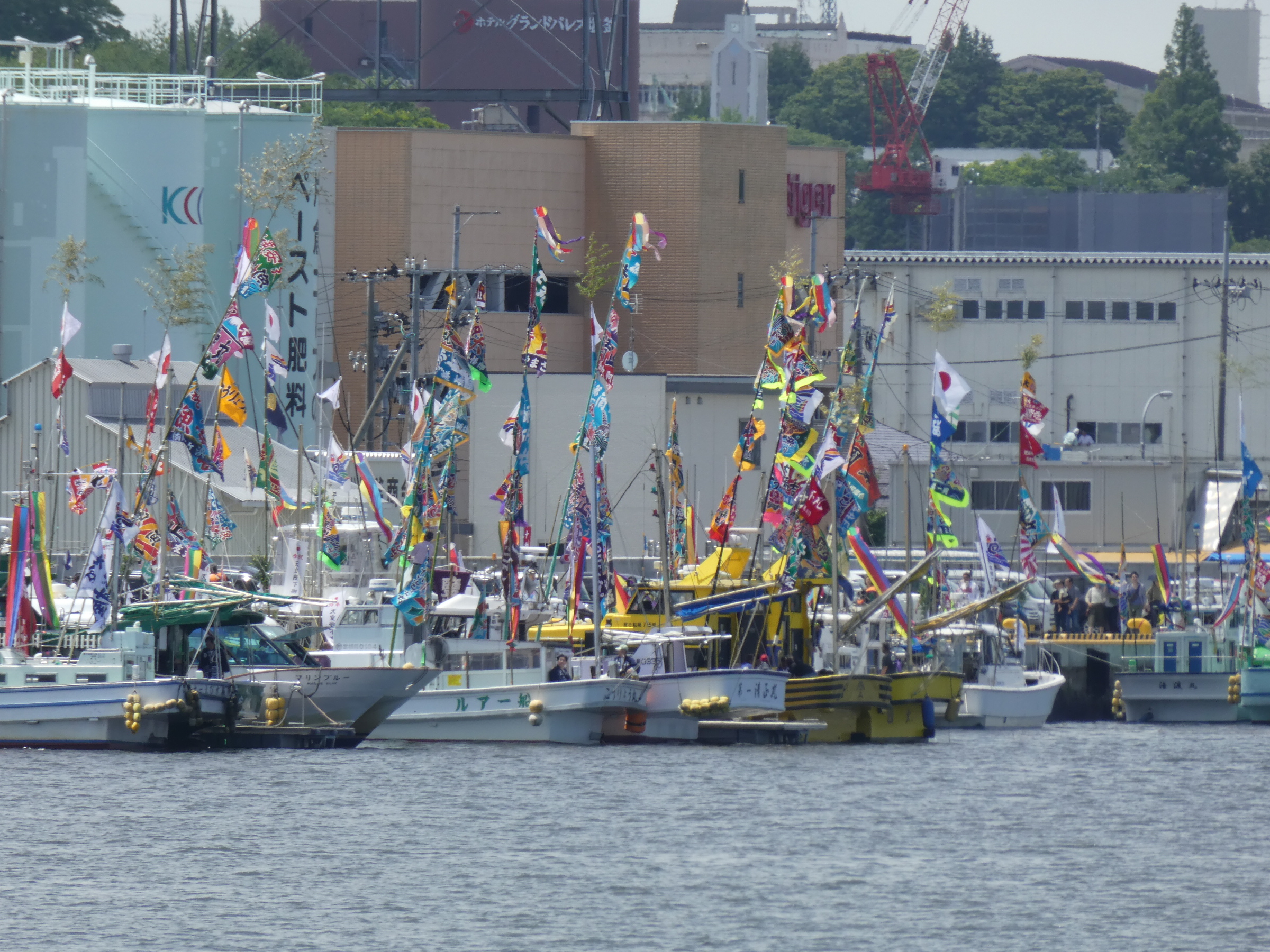 P1020355.JPG