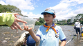 line_73170746138543_thumb.png