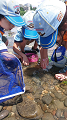 line_73173645785156_thumb.png