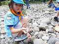 line_73180176979581_thumb.png