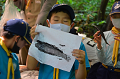 DSC_6532_thumb.png