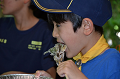 DSC_6643_thumb.png