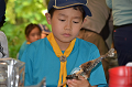 DSC_6654_thumb.png