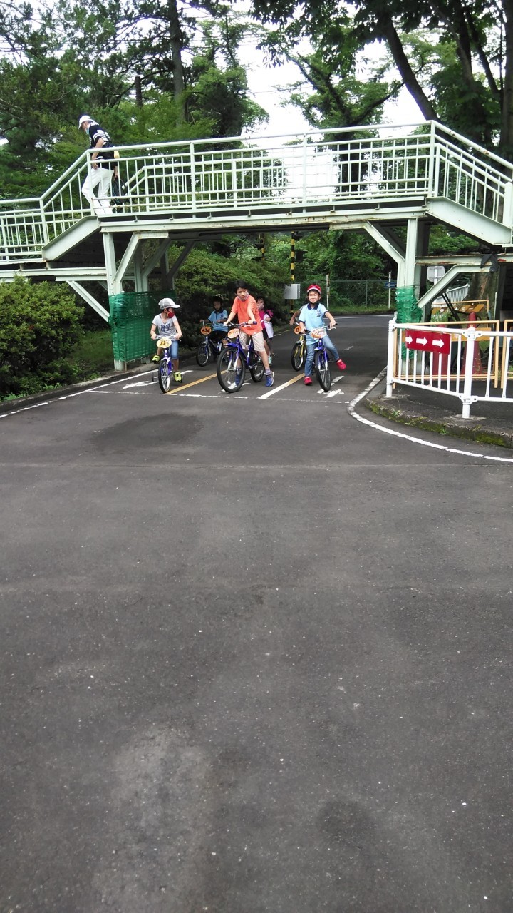 line_326509259637614.jpg