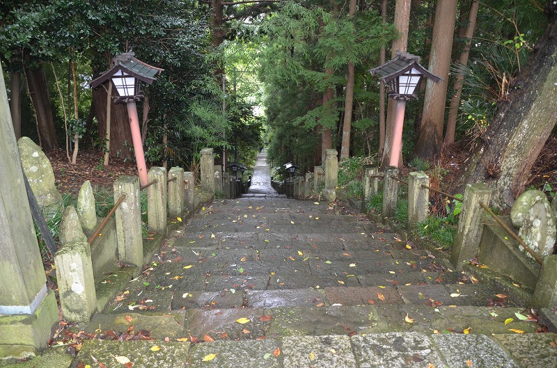 DSC_8020.jpg