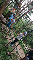 line_190895277596608_thumb.png