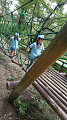line_190902350633070_thumb.png