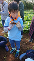line_582681113132499_thumb.png