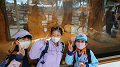 line_582710071297885_thumb.png