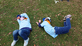 line_74009573110564_thumb.png