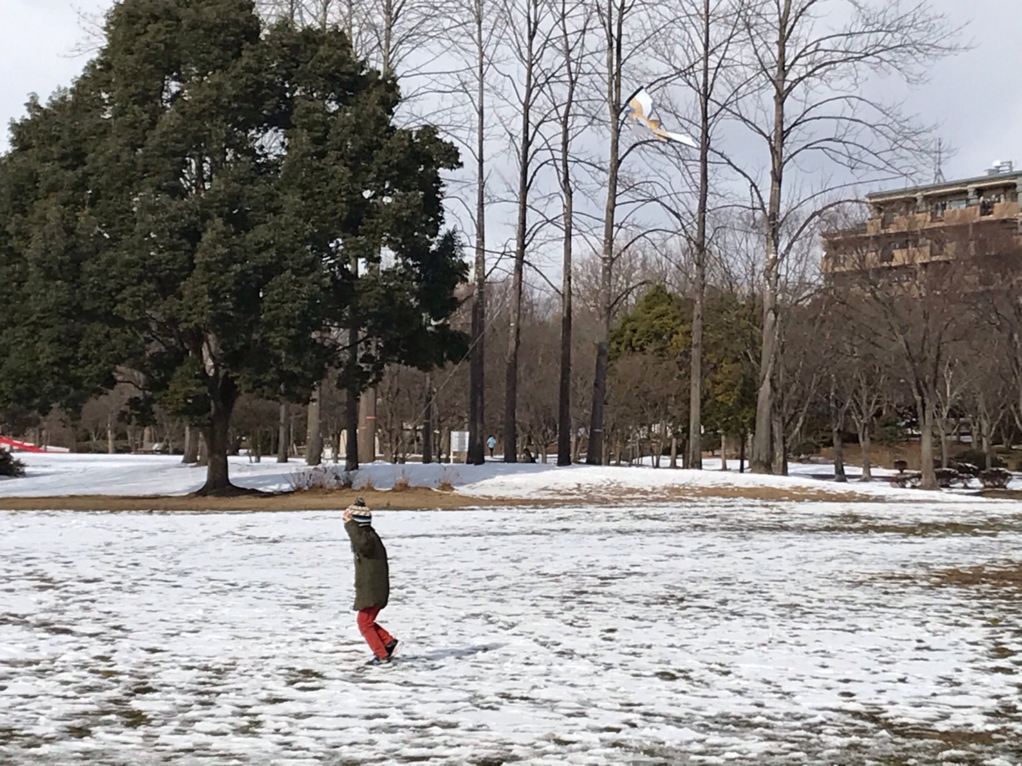 line_1556252188967834.jpg