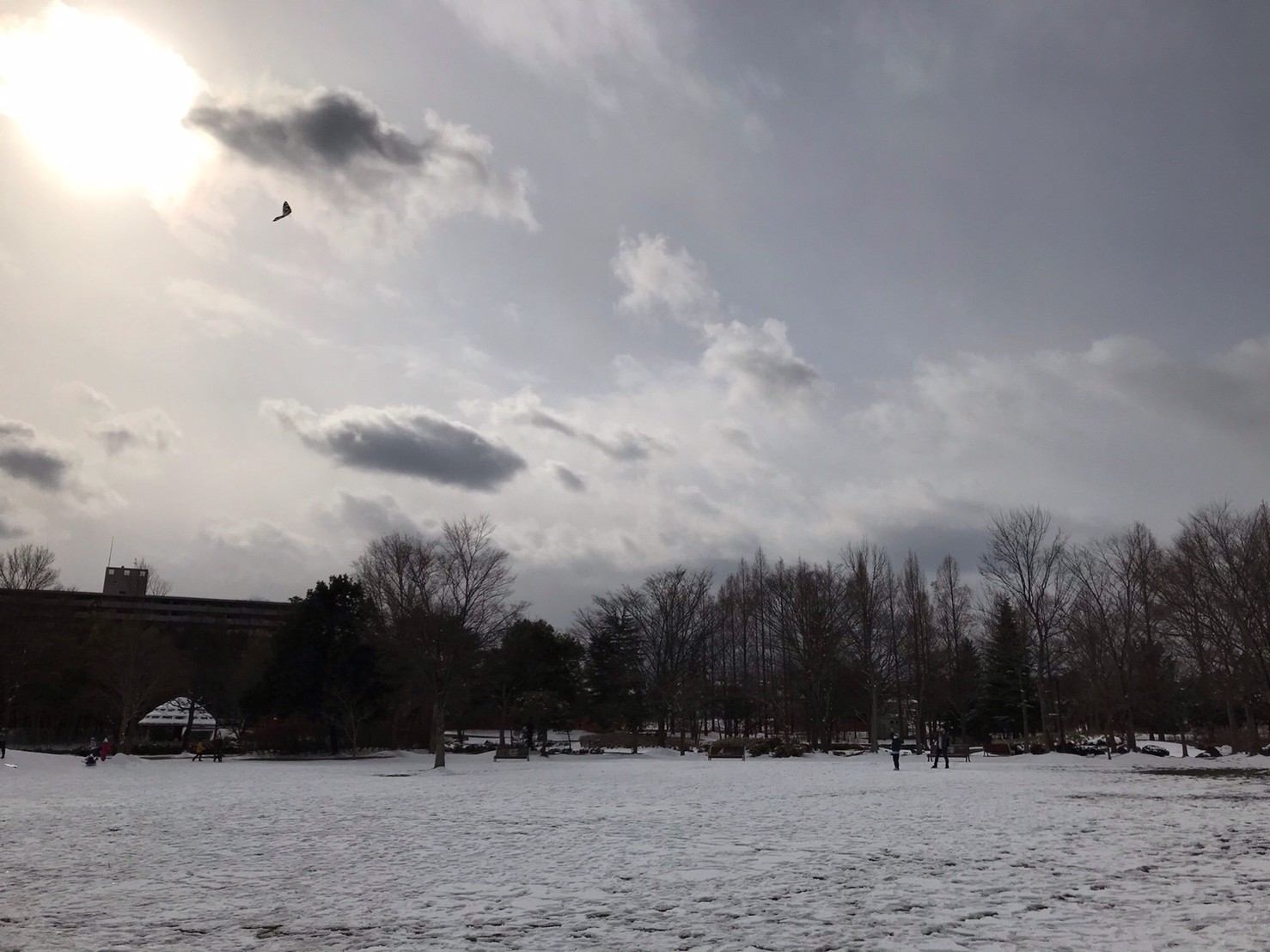 line_1556254255796142.jpg