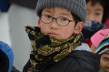 DSC_0738_thumb.png