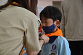 DSC_4997_thumb.png