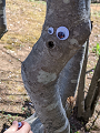 1650717605011_thumb.png