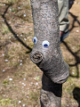 1650717606104_thumb.png