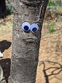 1650717608708_thumb.png