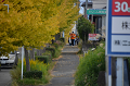 DSC_7109_thumb.png