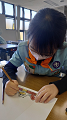 1667807430424_thumb.png