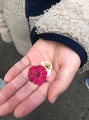1679311755351_thumb.png