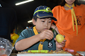 DSC_0715_thumb.png