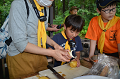 DSC_0724_thumb.png