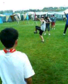 P505iS0012386341_thumb.png